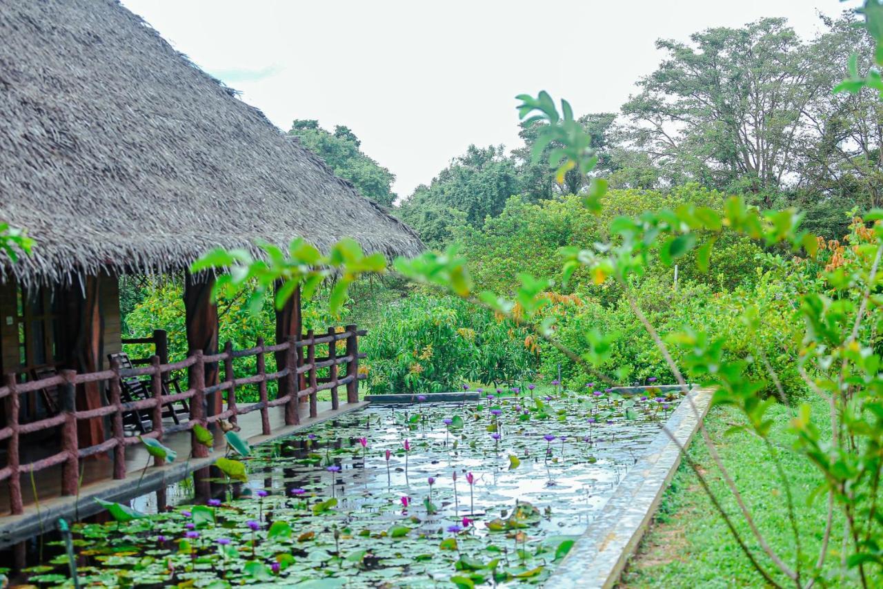 Sigiriya Water Cottage Exterior photo