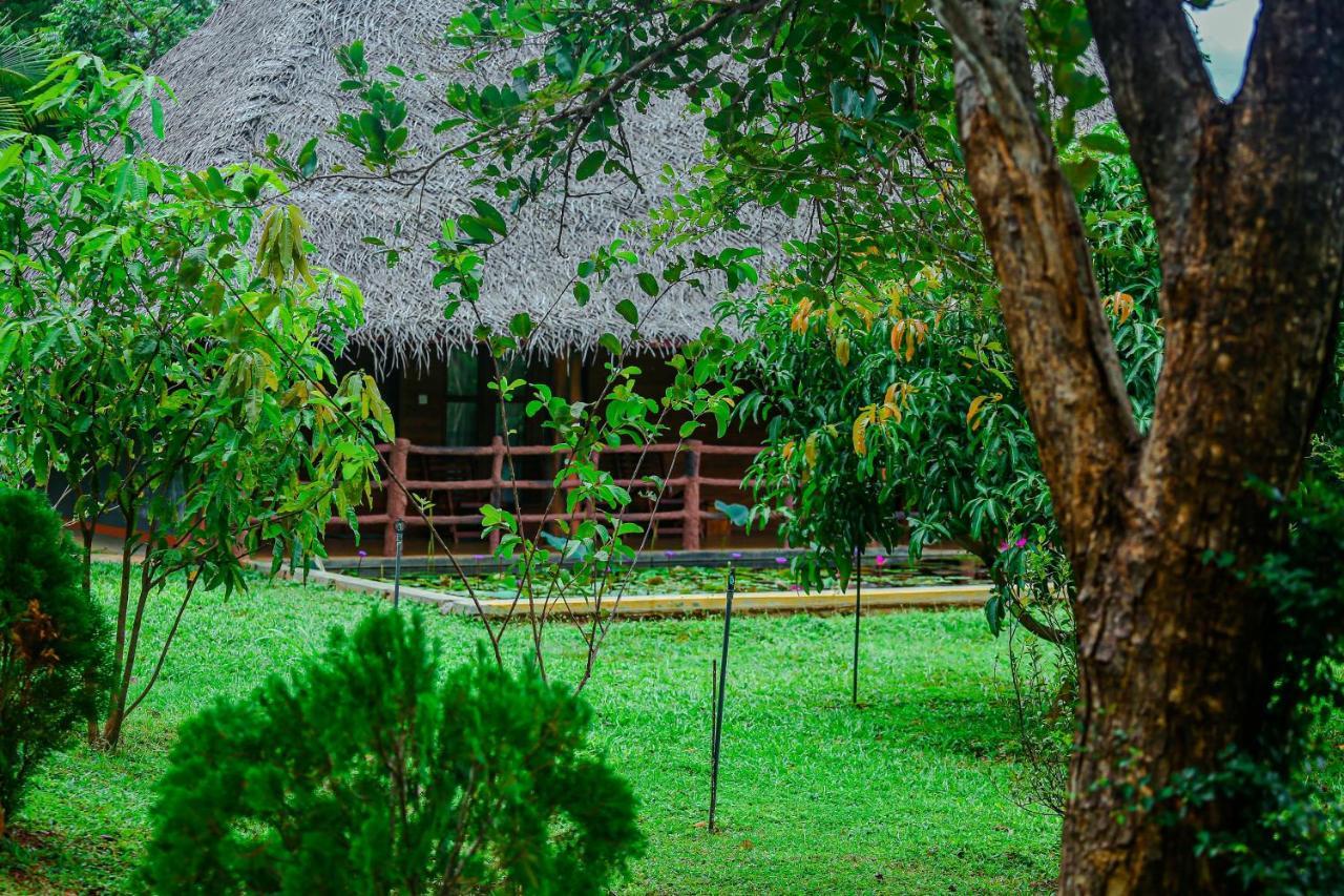 Sigiriya Water Cottage Exterior photo