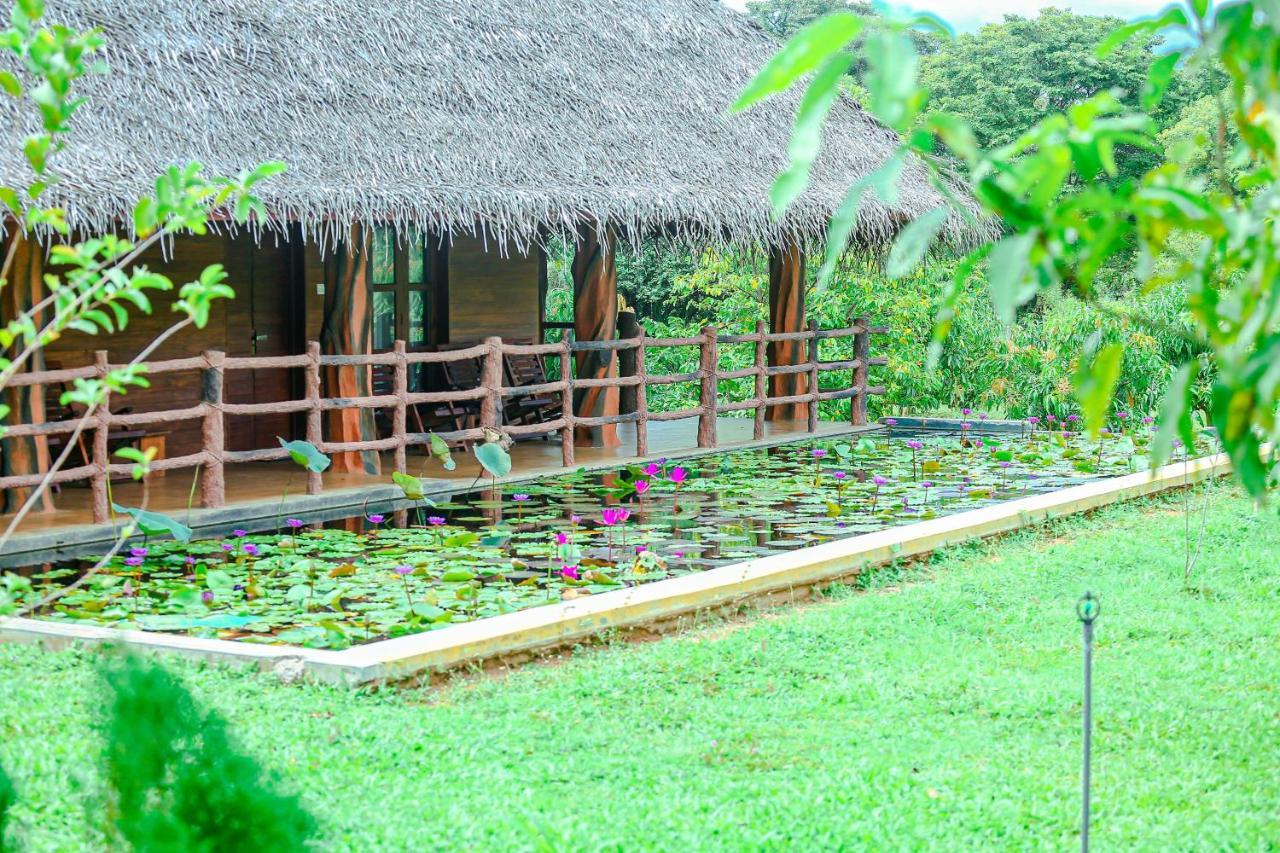 Sigiriya Water Cottage Exterior photo