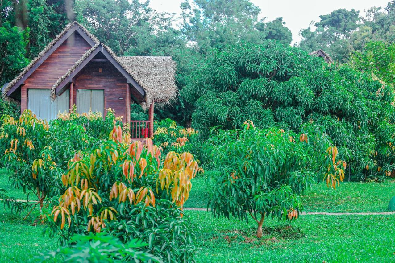 Sigiriya Water Cottage Exterior photo