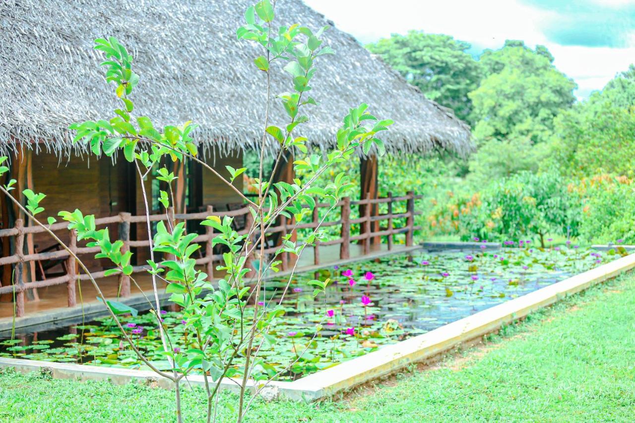 Sigiriya Water Cottage Exterior photo